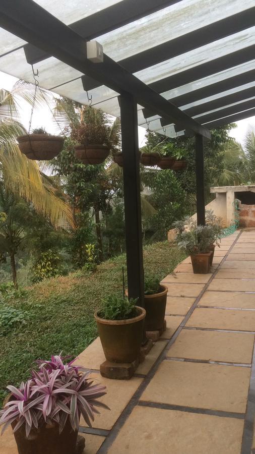 Homestay Namaha Meppādi エクステリア 写真