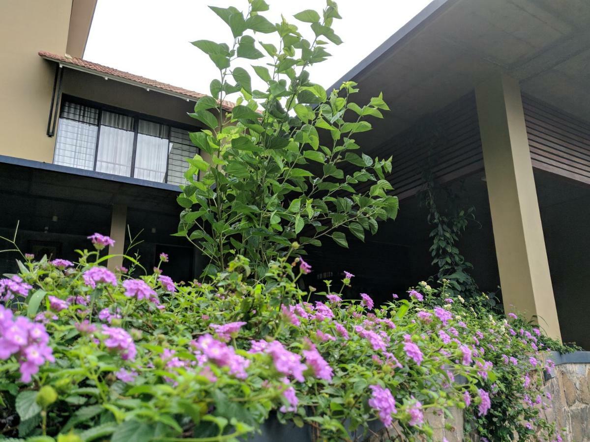 Homestay Namaha Meppādi エクステリア 写真